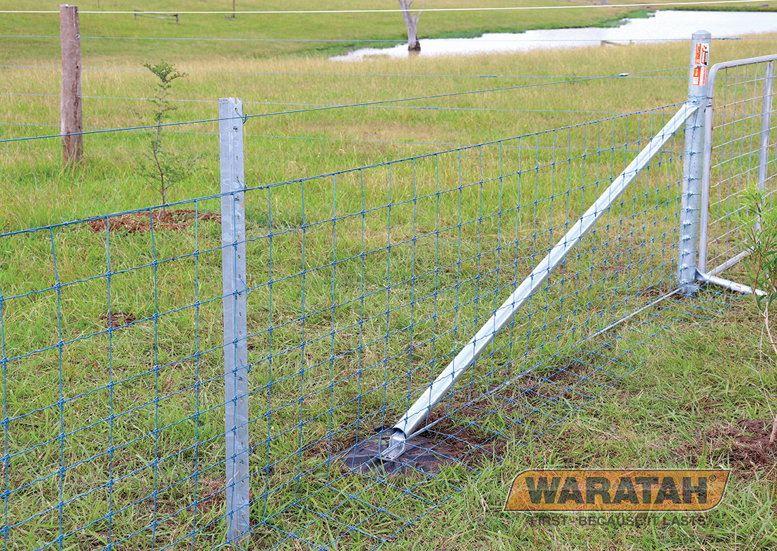 String Line – BG Fencing