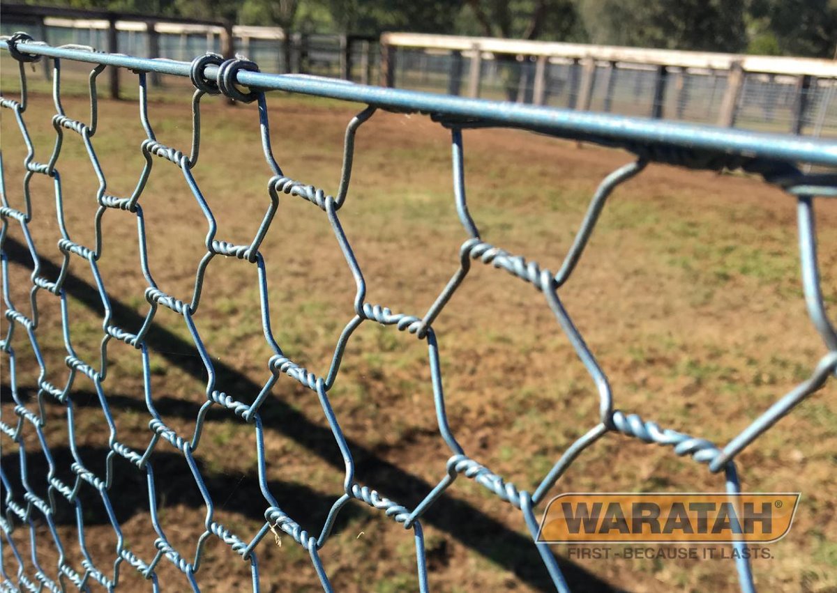 Wire netting store fence